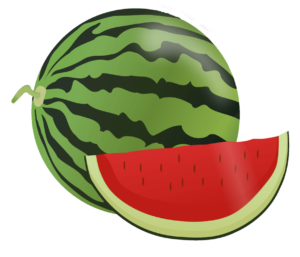 watermelon png vector 
