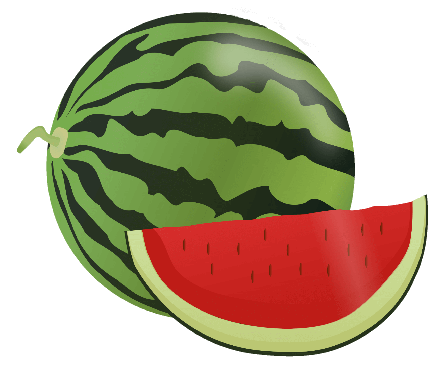 watermelon-22