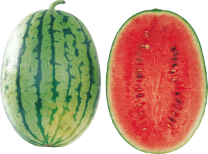 Full and half watermelon png