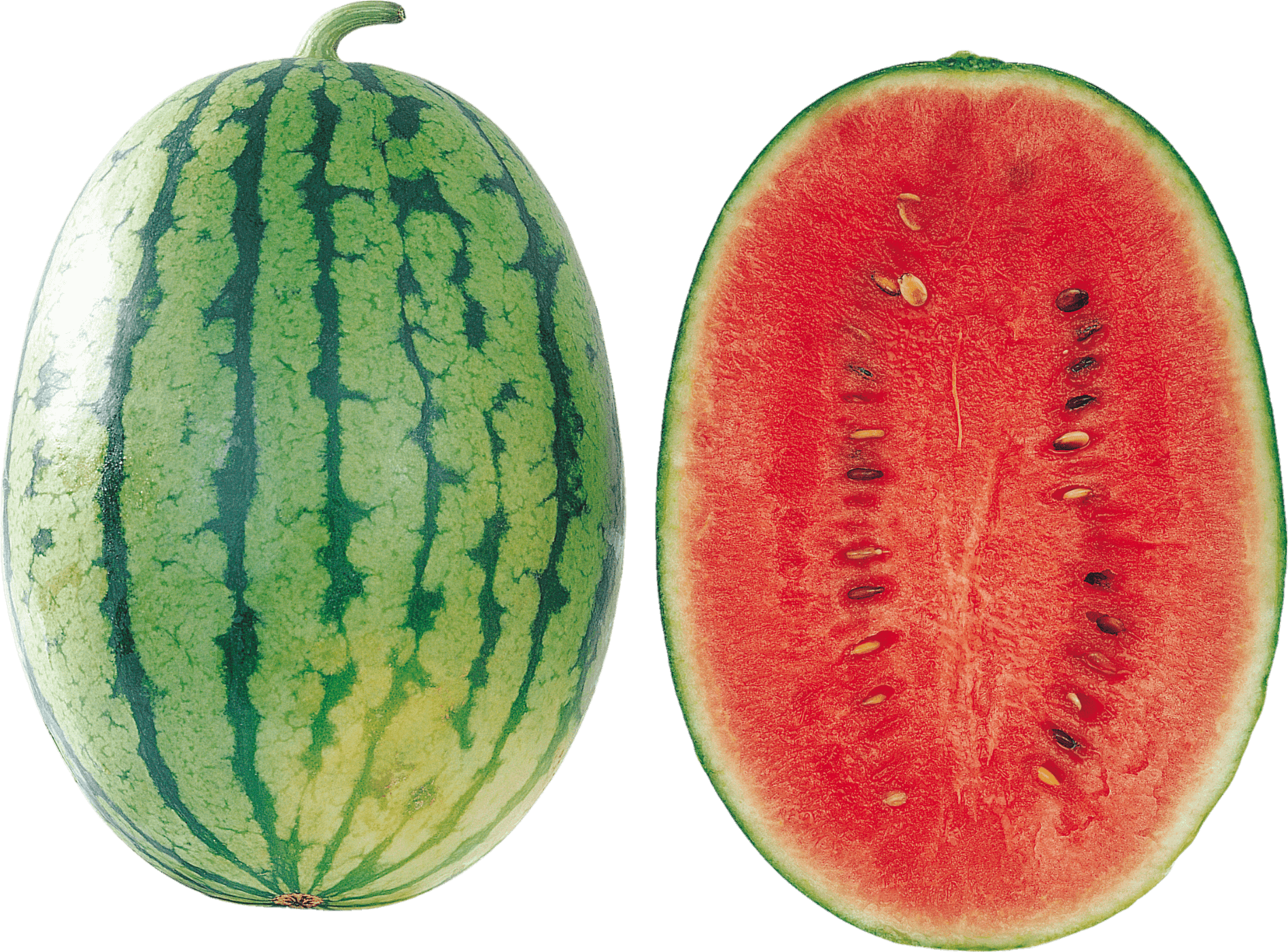 watermelon-23