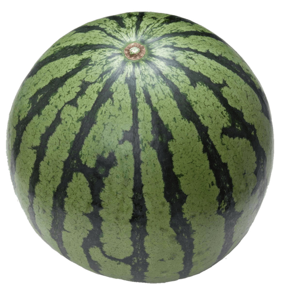 Full watermelon png