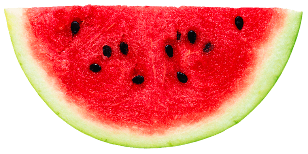 watermelon-25