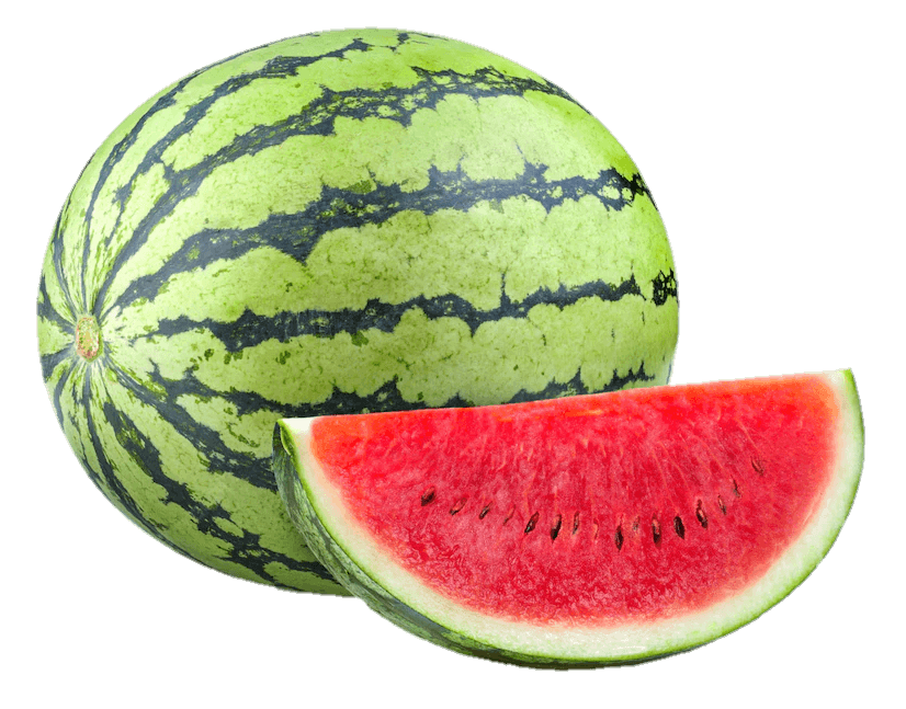 watermelon-26