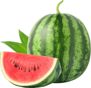 High resolution watermelon png