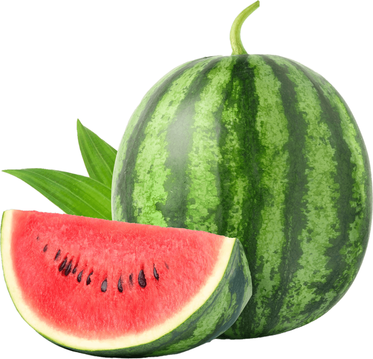 watermelon-27
