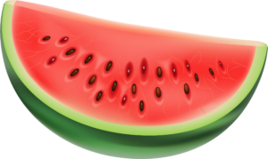 watermelon png clipart