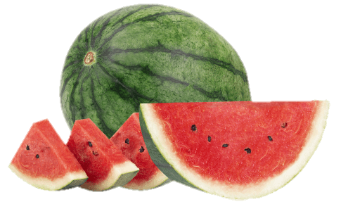 watermelon-3