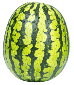 Real watermelon png