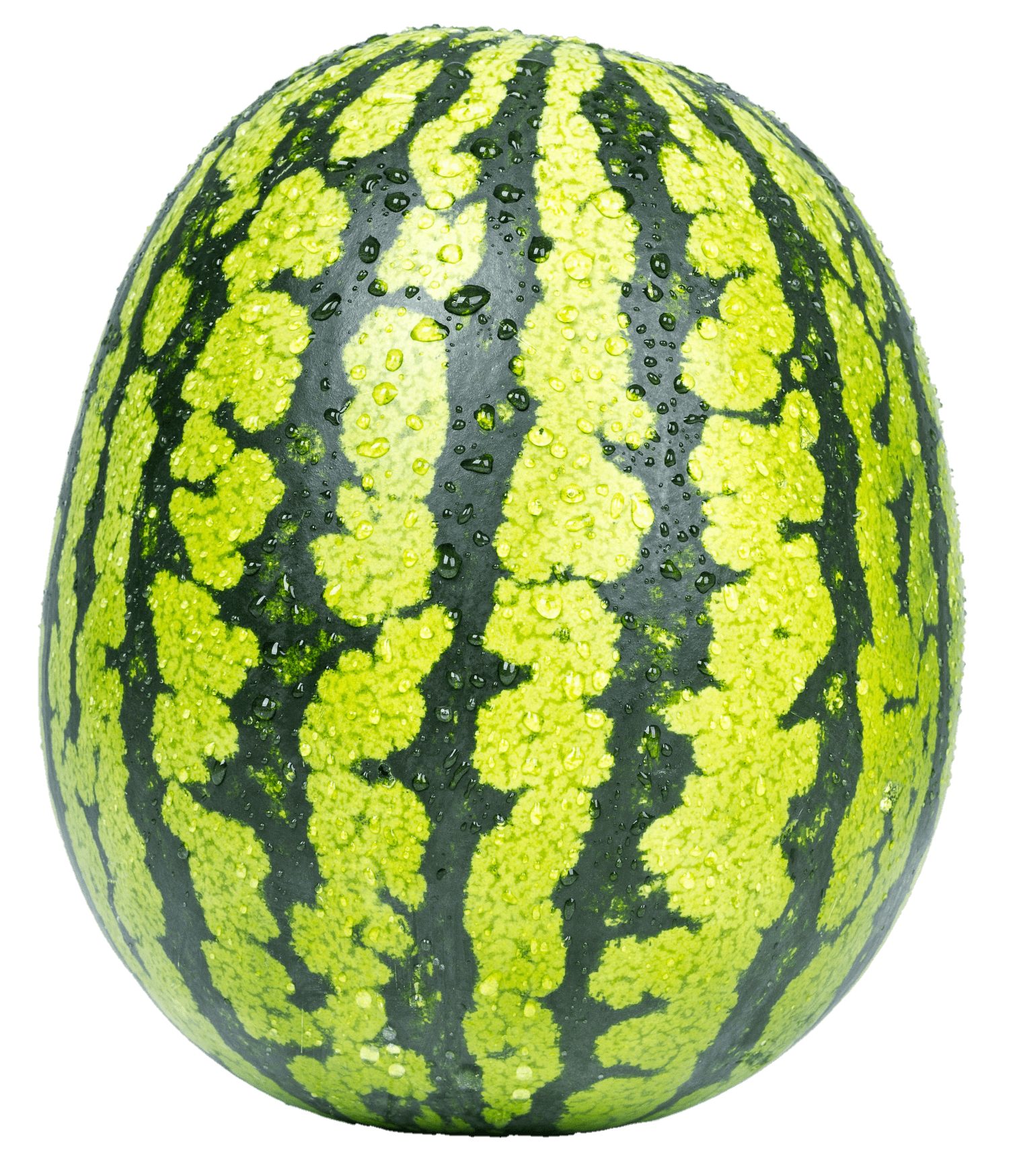 watermelon-30