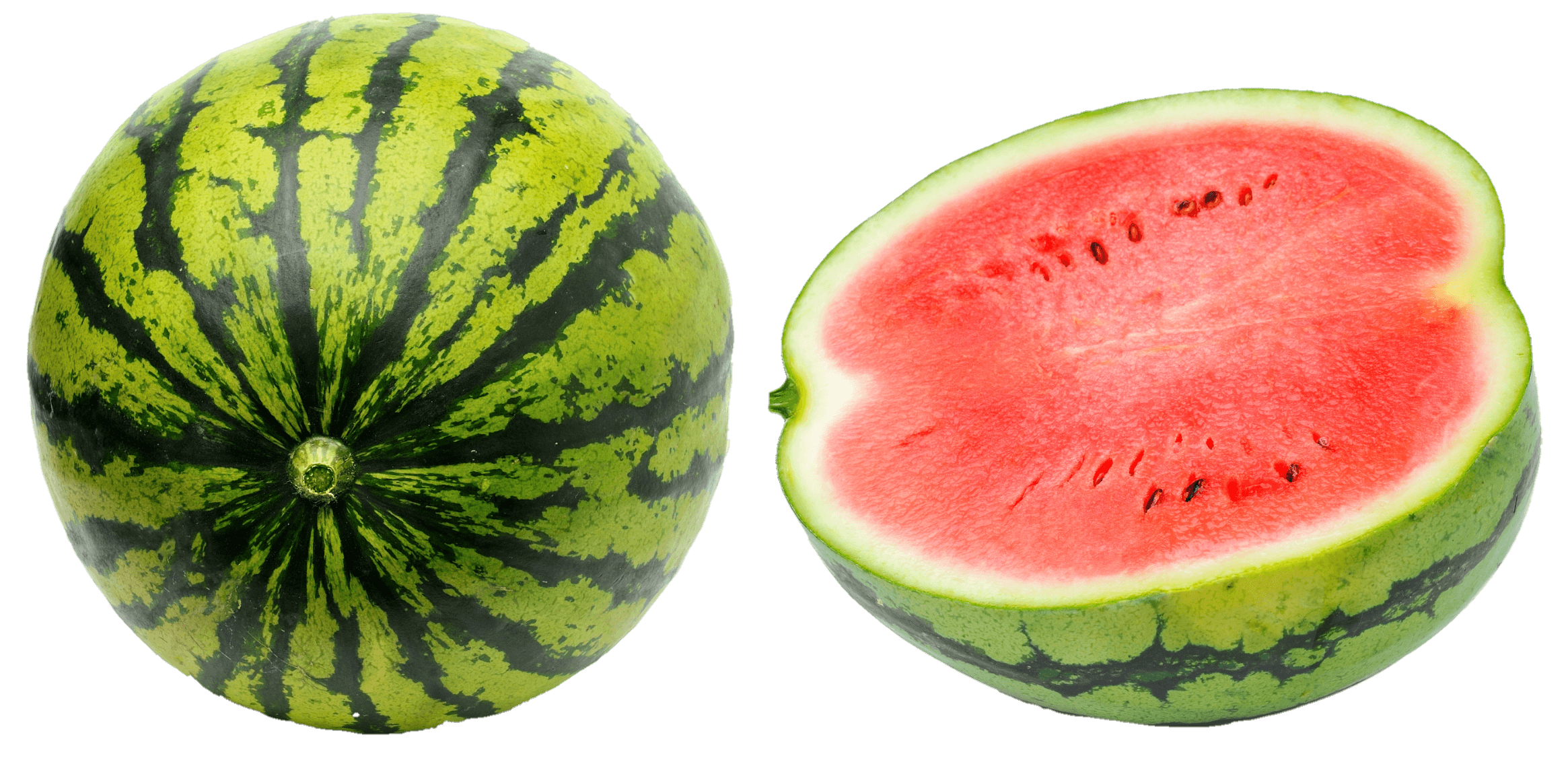 watermelon-32