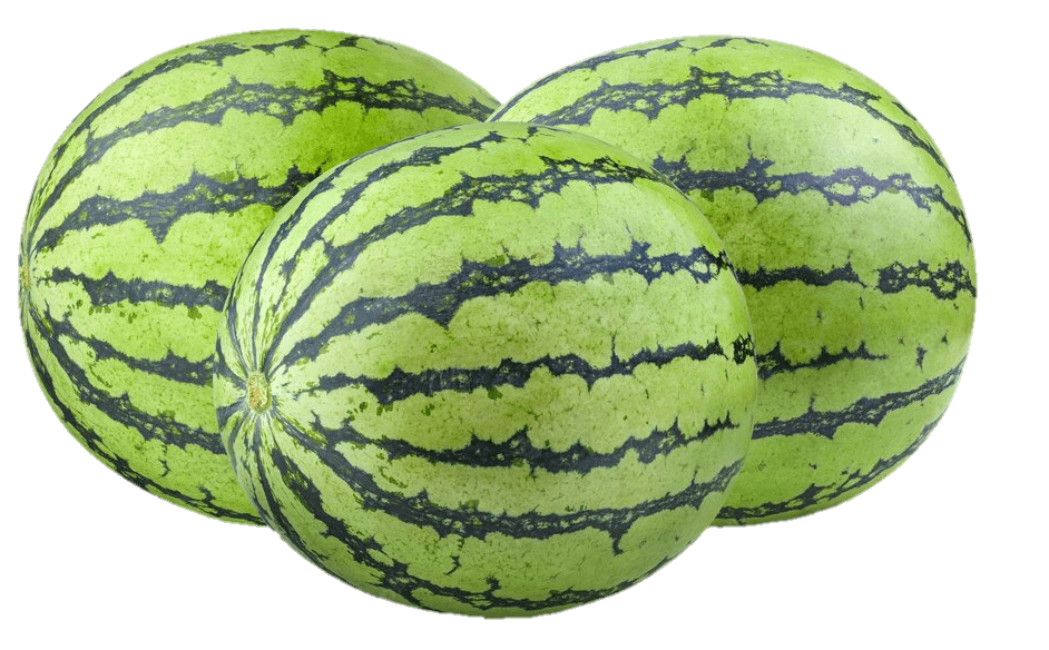 watermelon-33