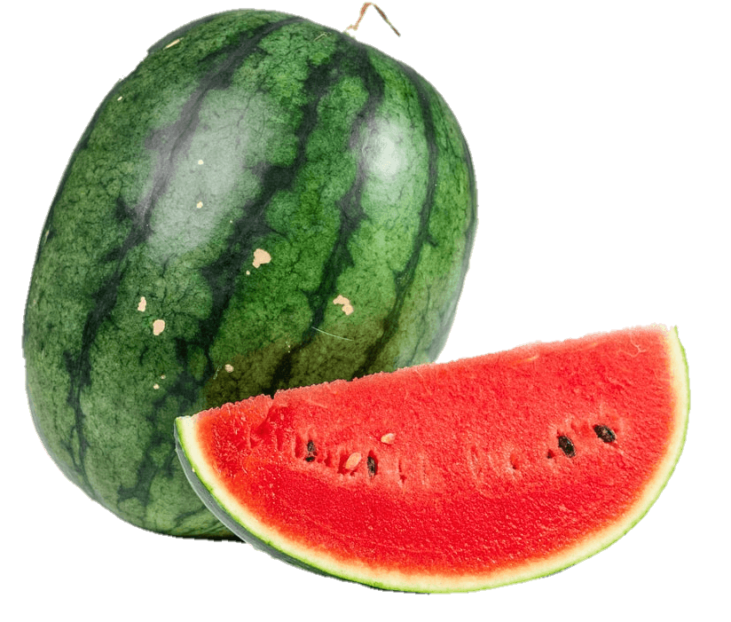 watermelon-38