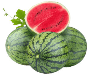 Fruits watermelon png