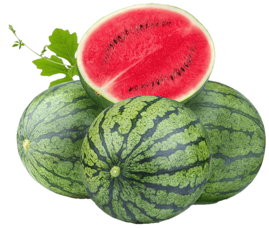 watermelon-39