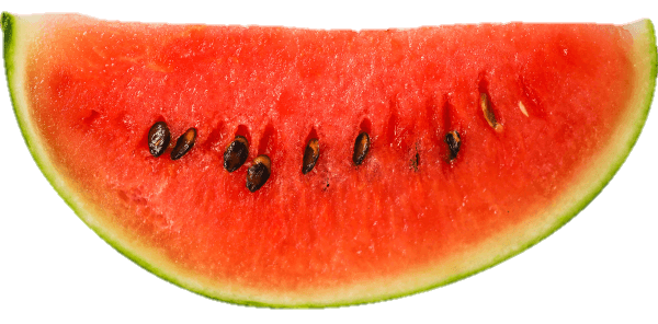 Slice watermelon png