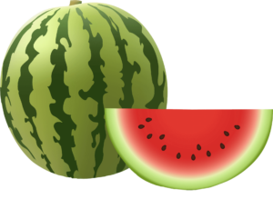 watermelon vector png