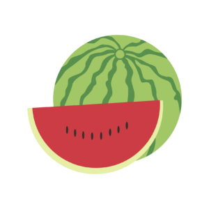 Watermelon vector Png