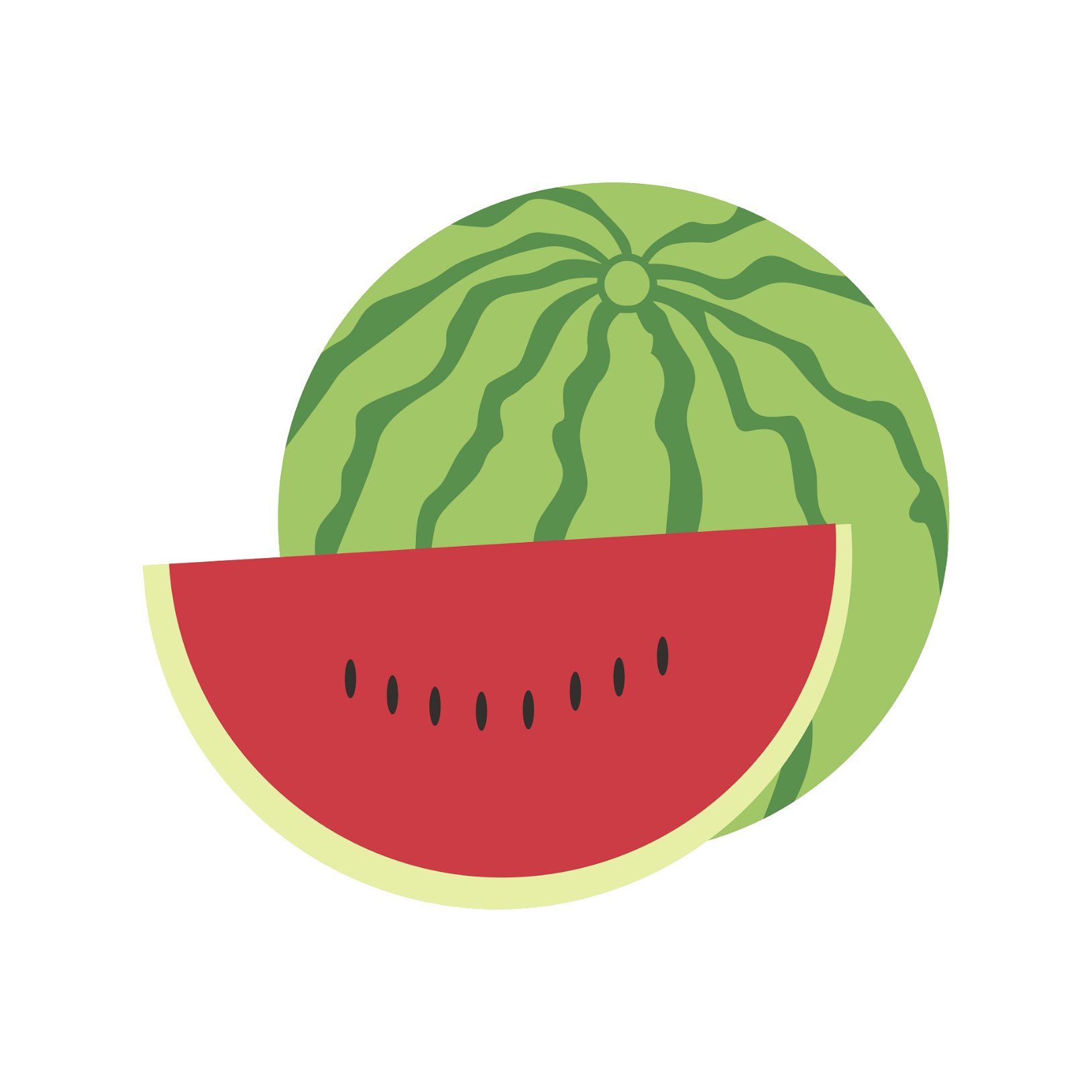 watermelon-51
