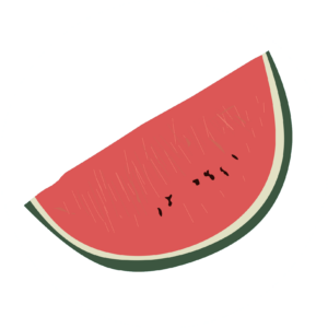 Watermelon Slice vector Png