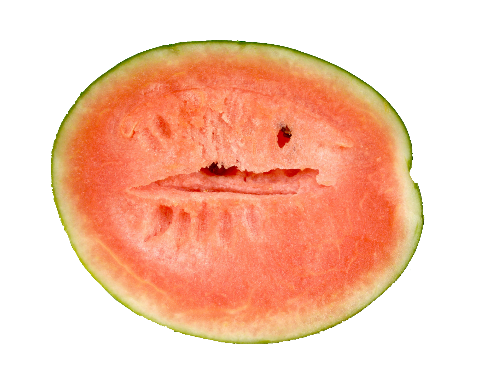 watermelon-60