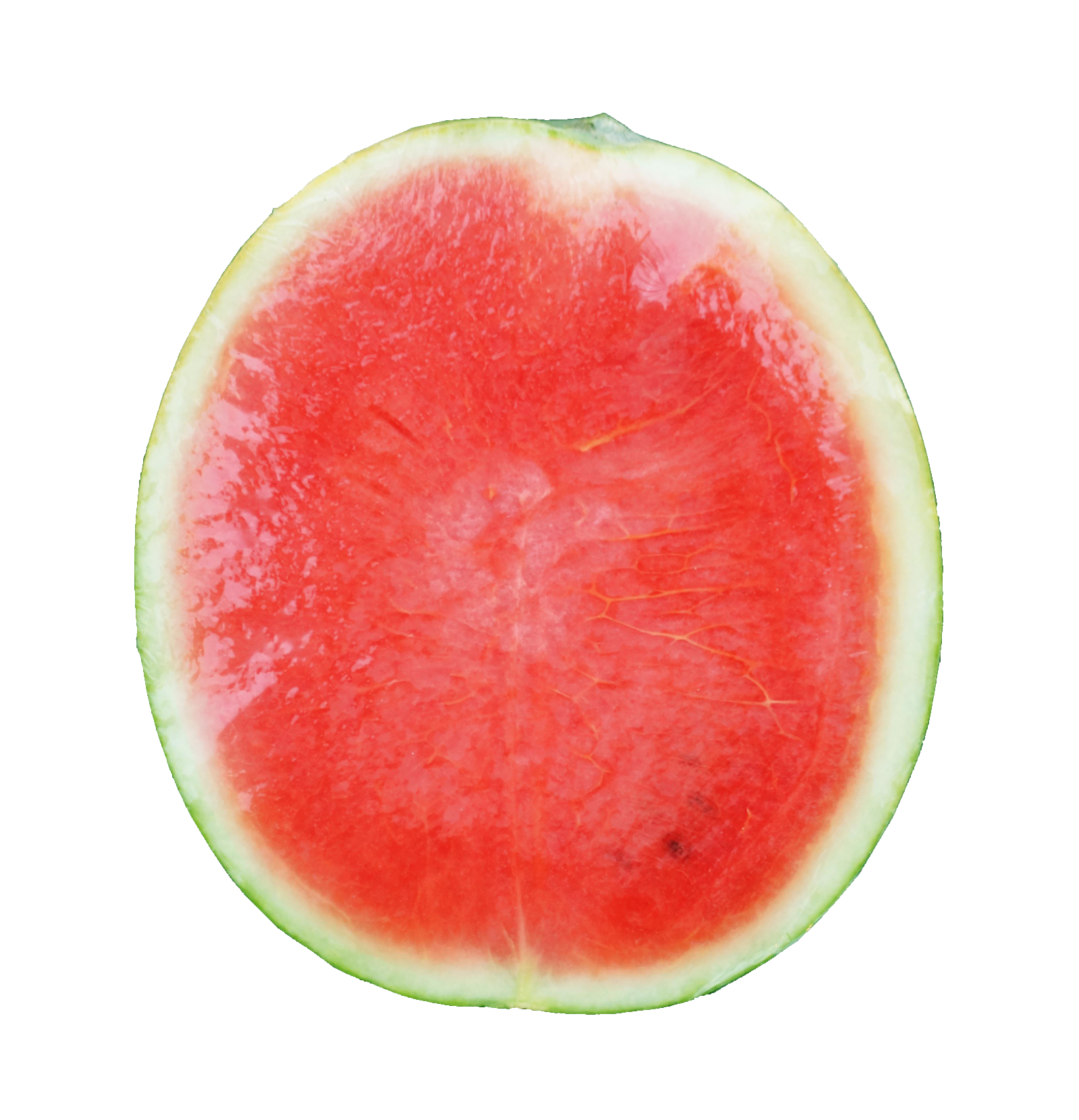 watermelon-68