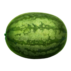 Single Watermelon Png