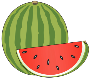 watermelon png clipart