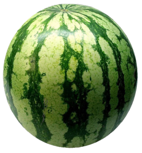 Single Watermelon Png