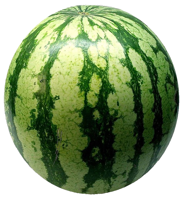 watermelon-70