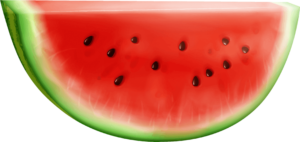 vector watermelon png