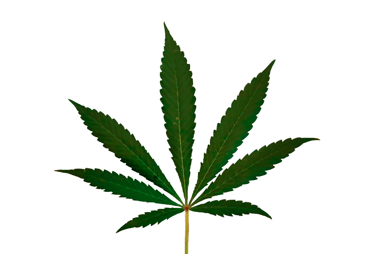 weed-png-105-1