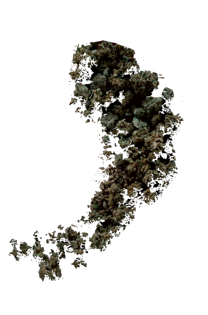 weed-png-110-1