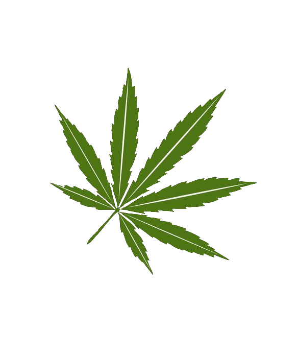 Marijuana Leaf vector Png