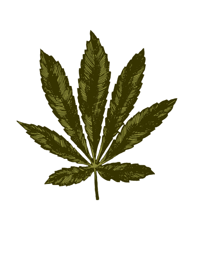 Weed clipart Png