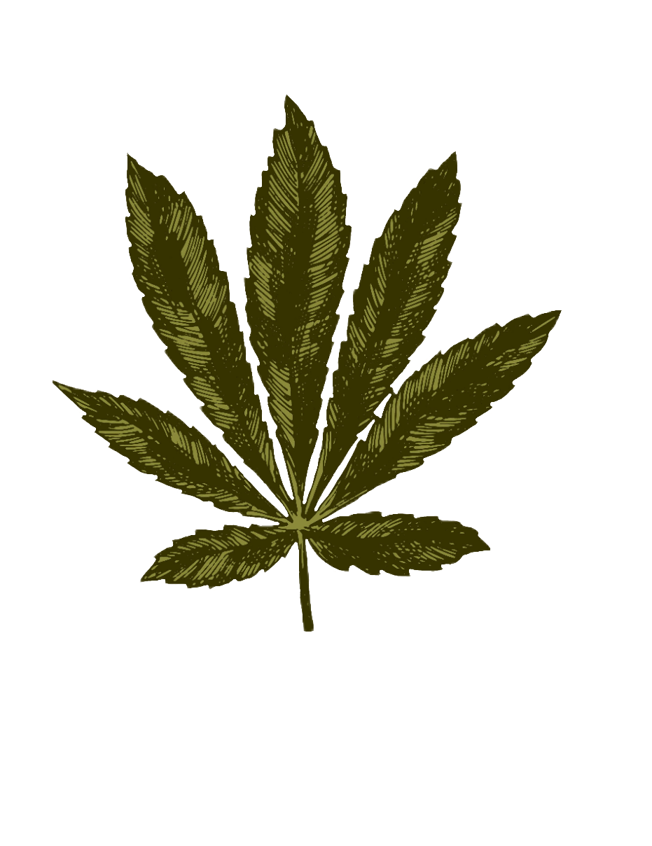 weed-png-123-1