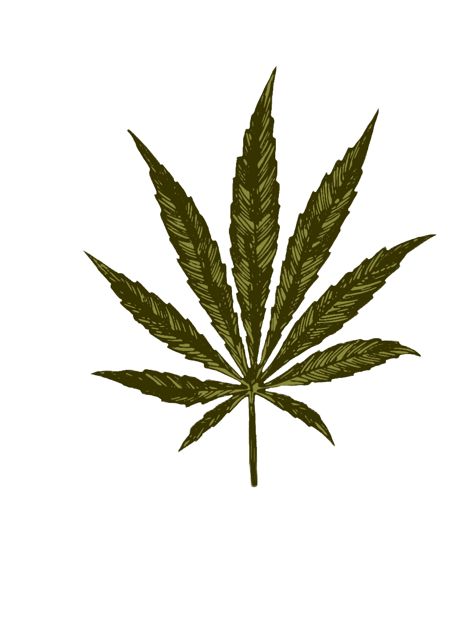 weed-png-124-1