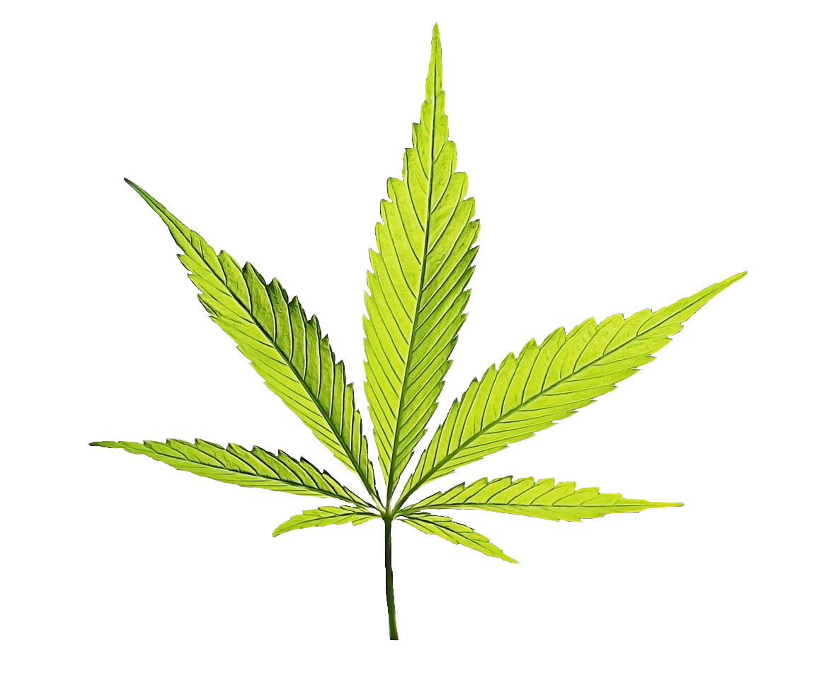 weed-png-127-1