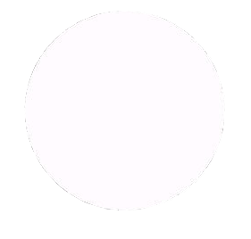 white_circle127