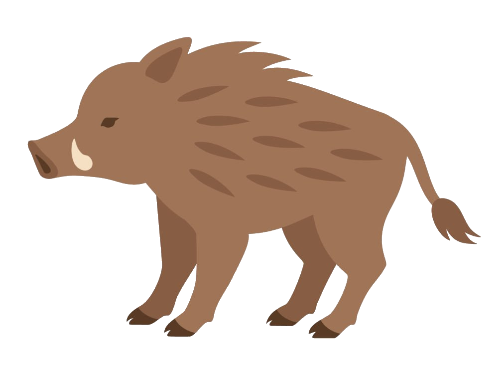wild-boar-2