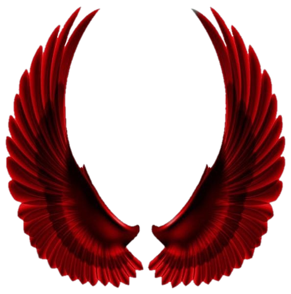 wings-png-image-from-pngfre-10