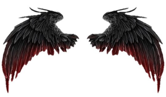 wings-png-image-from-pngfre-11