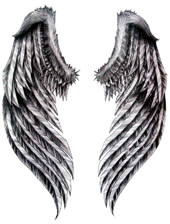 wings-png-image-from-pngfre-13
