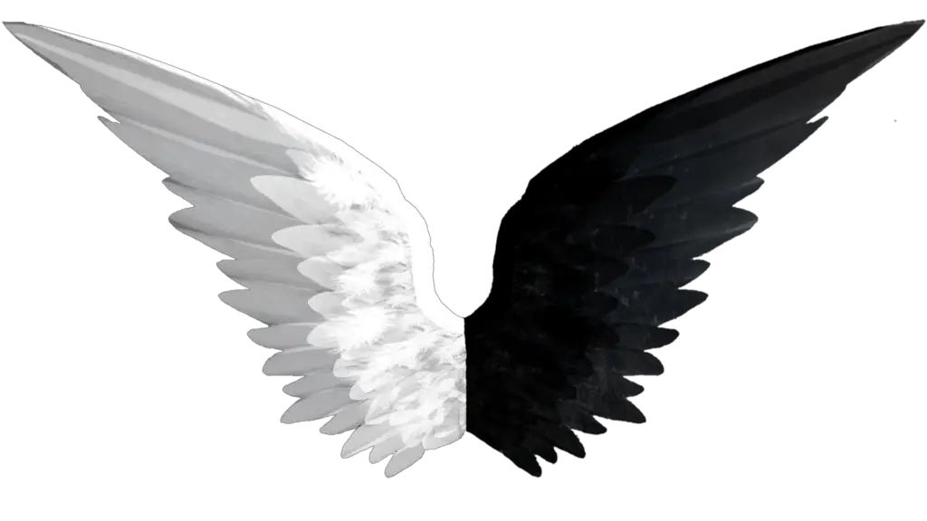 Wings Png Picsart