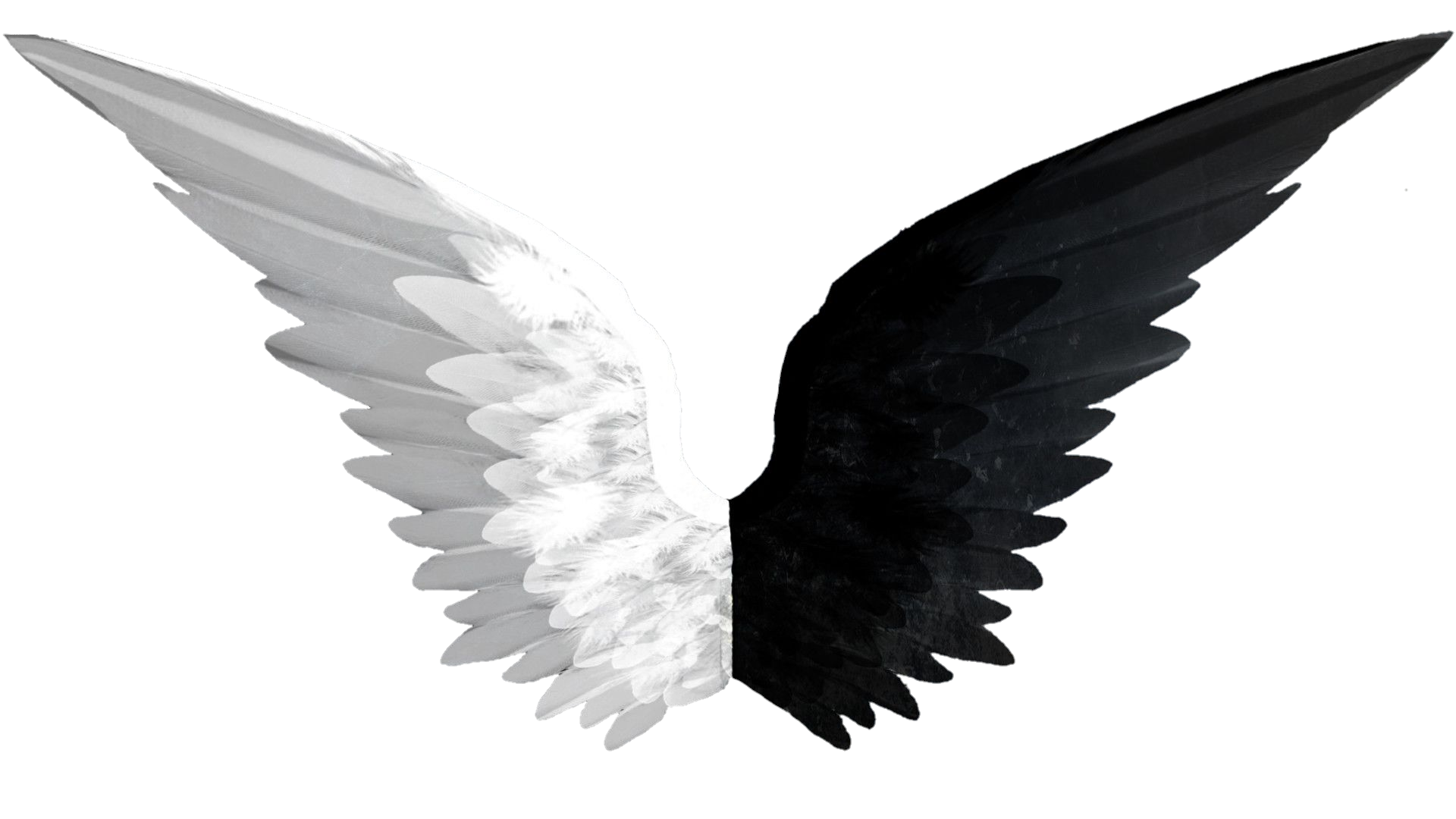 wings-png-image-from-pngfre-14