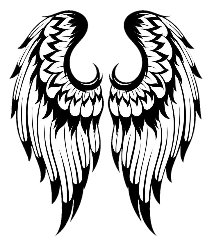 wings-png-image-from-pngfre-15