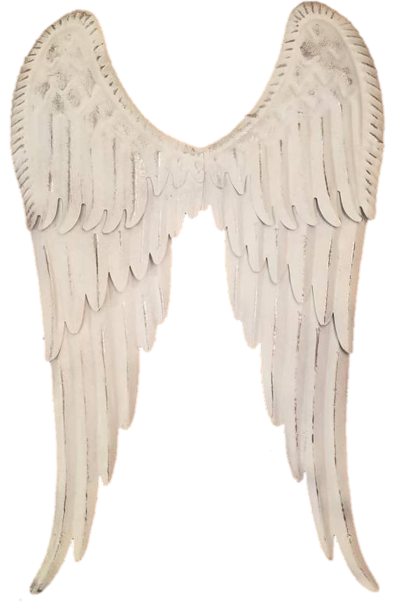 Wings Png Clipart image