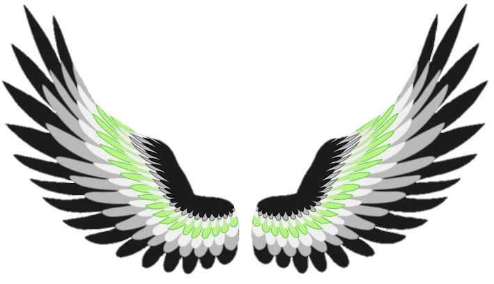 Wings Png vector
