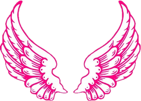 wings-png-image-from-pngfre-18