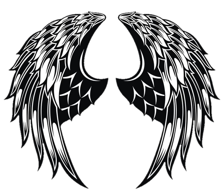 wings-png-image-from-pngfre-19