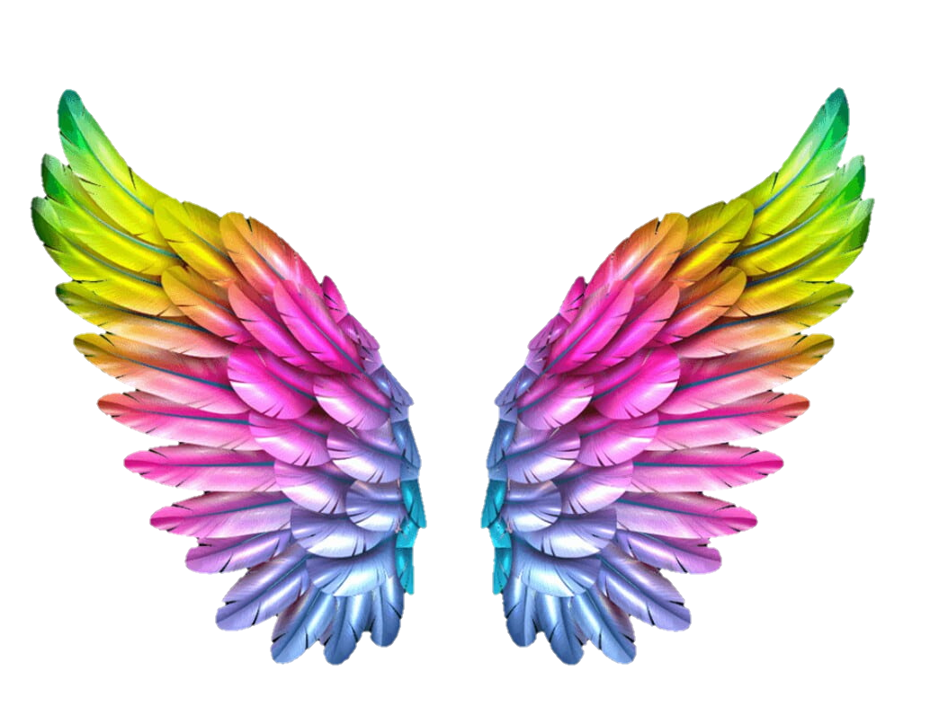 wings-png-image-from-pngfre-2